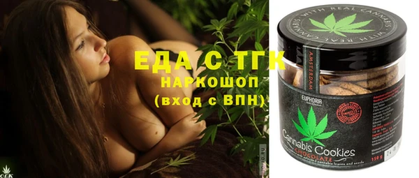 индика Бронницы