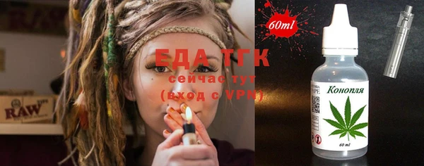 индика Бронницы