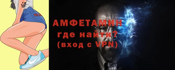 индика Бронницы