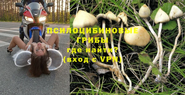герыч Верхний Тагил