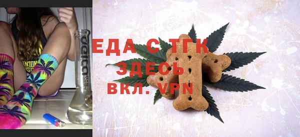 индика Бронницы