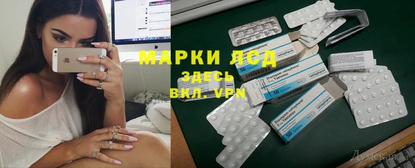 индика Бронницы